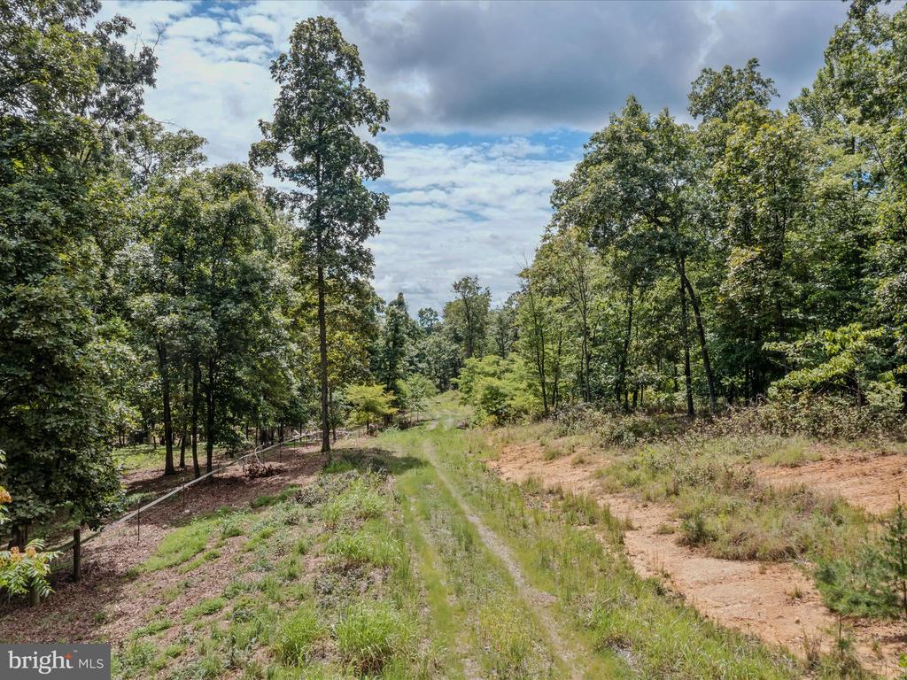 COPPERHEAD LANE