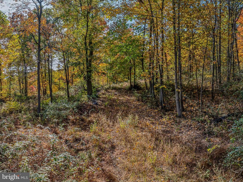 COPPERHEAD LANE