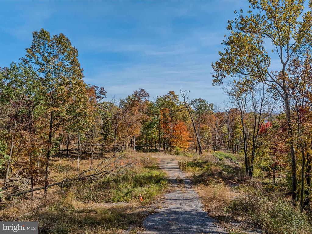 COPPERHEAD LANE
