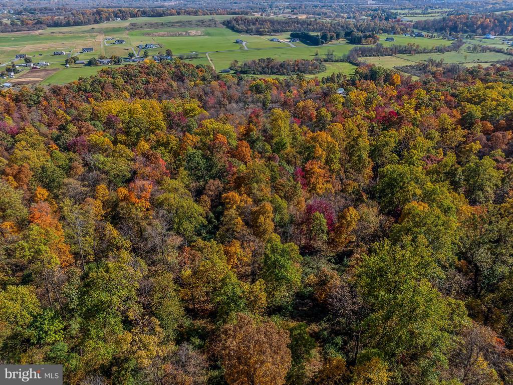 COPPERHEAD LANE