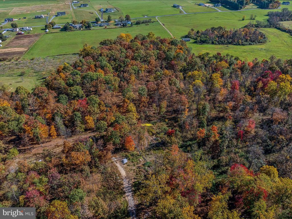 COPPERHEAD LANE