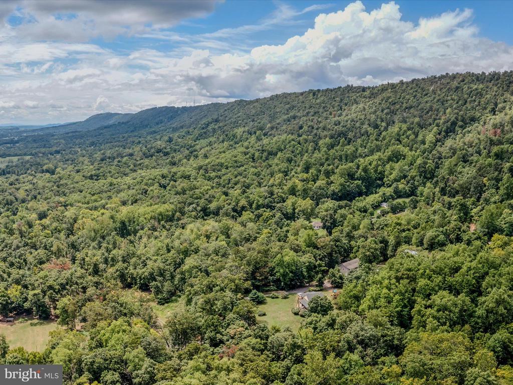 COPPERHEAD LANE