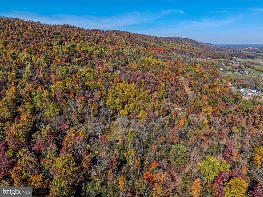 COPPERHEAD LANE