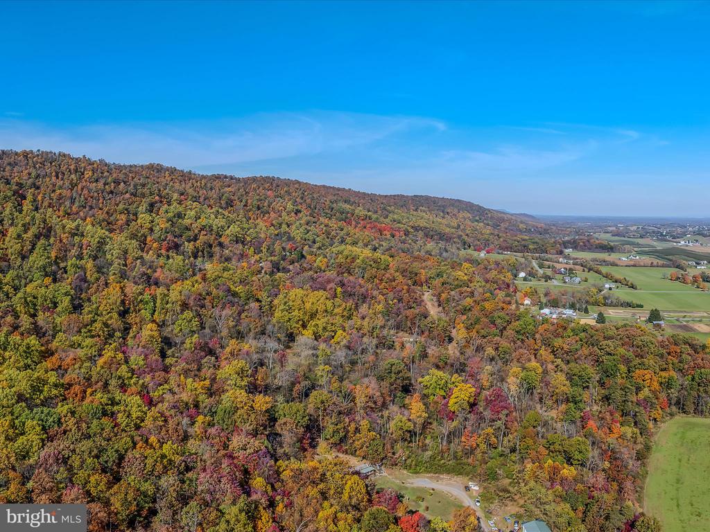 COPPERHEAD LANE