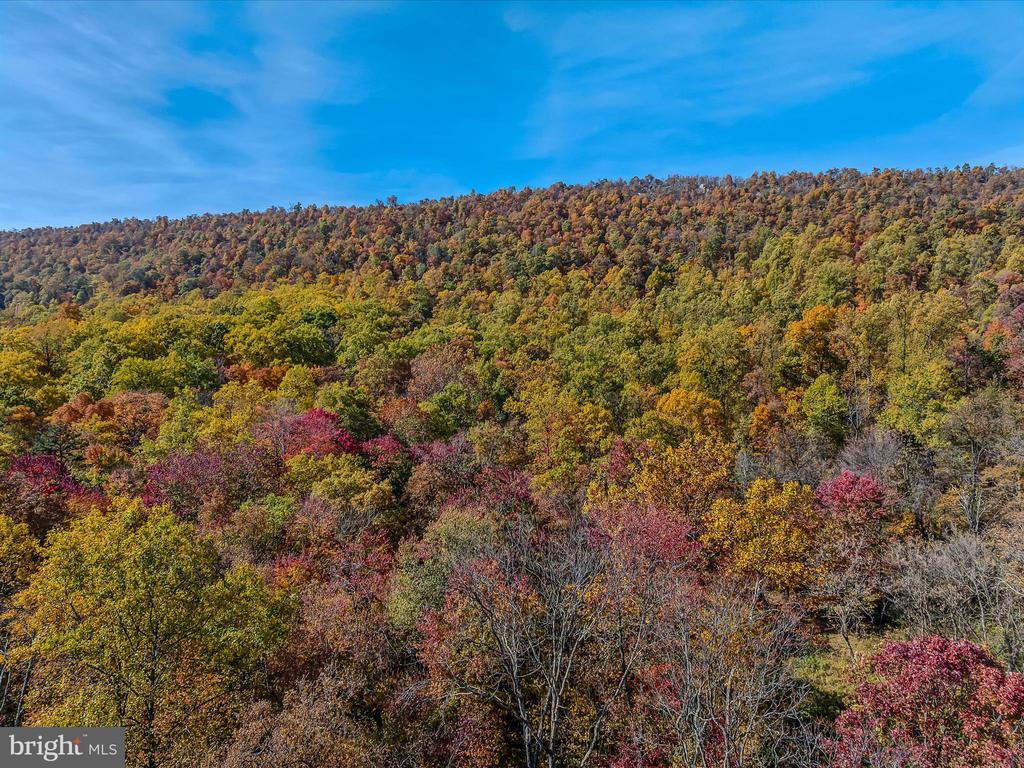 COPPERHEAD LANE