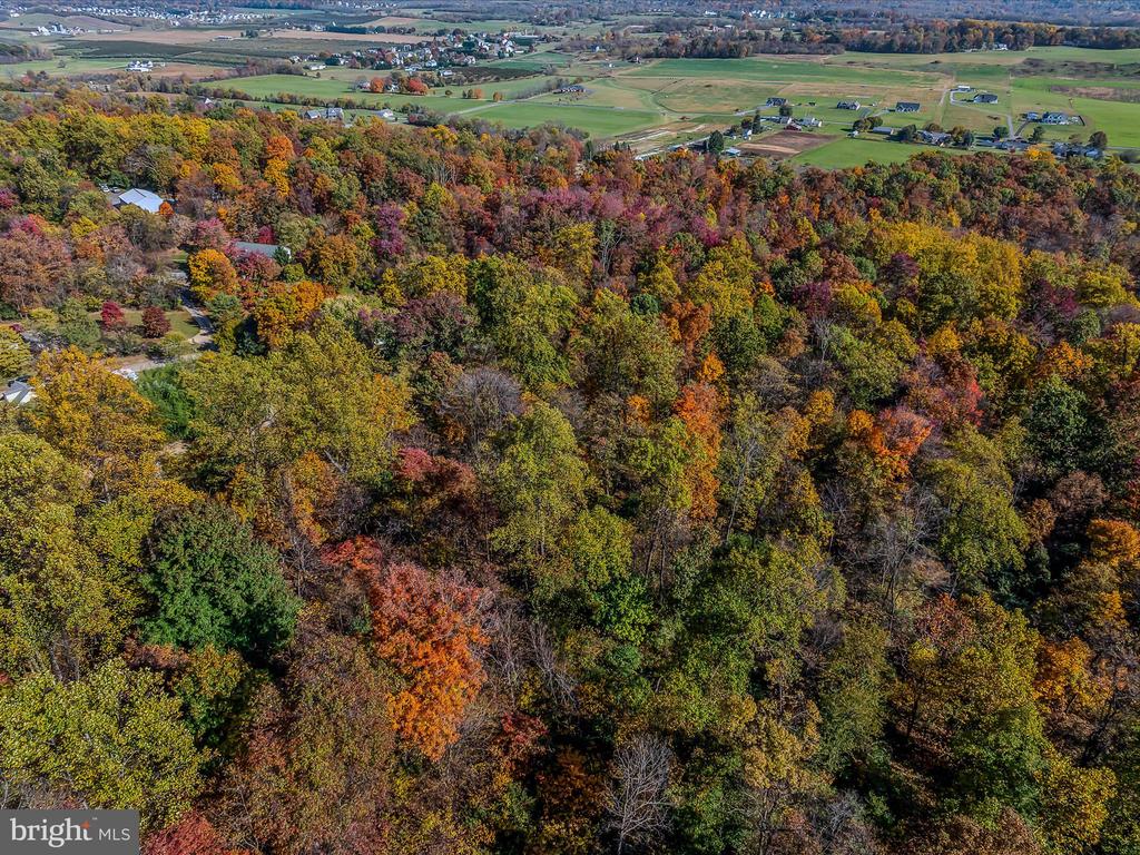 COPPERHEAD LANE