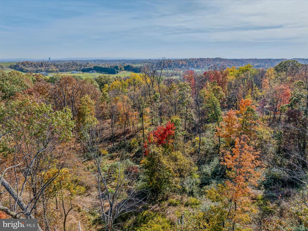 COPPERHEAD LANE