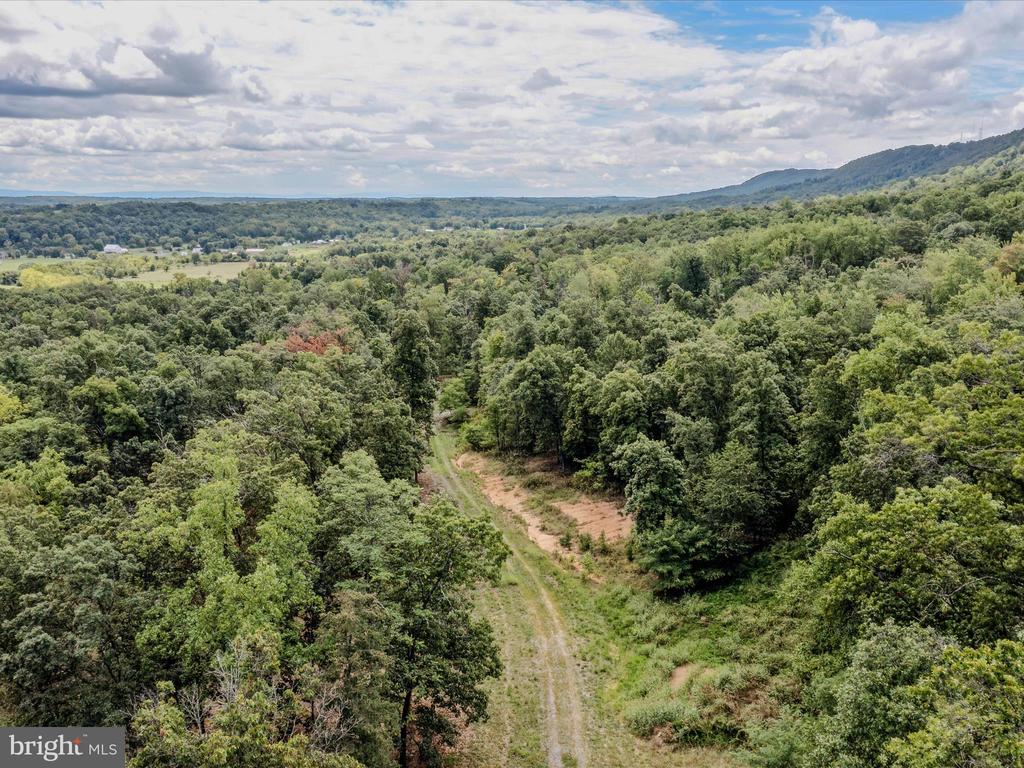 COPPERHEAD LANE