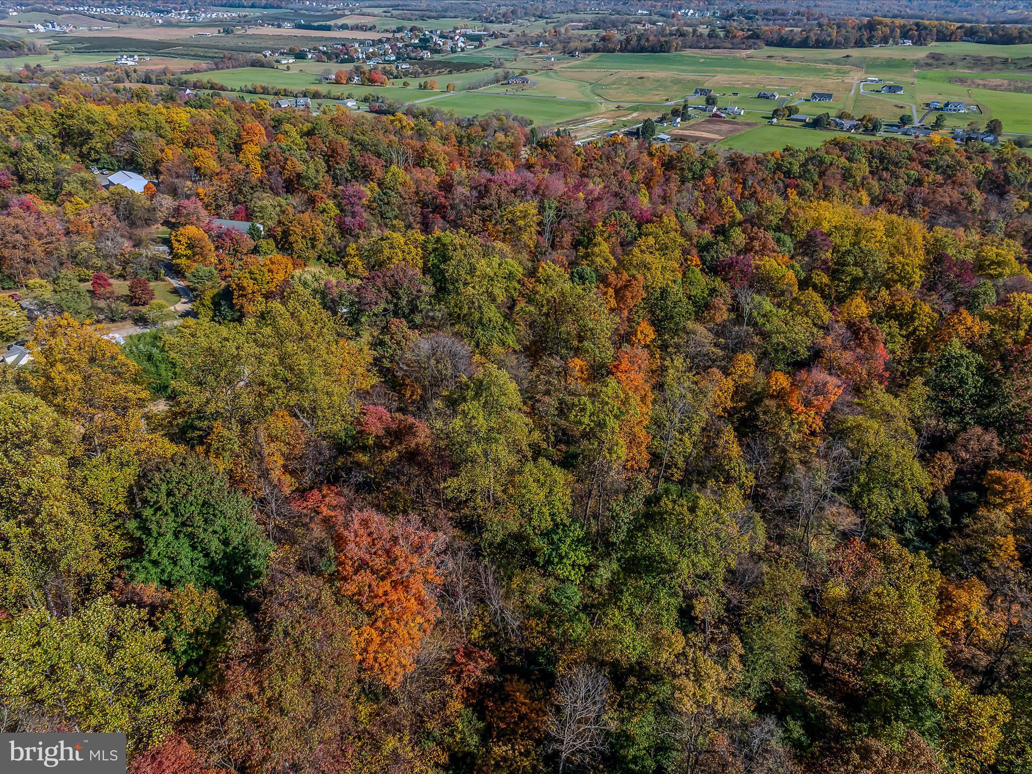 COPPERHEAD LANE