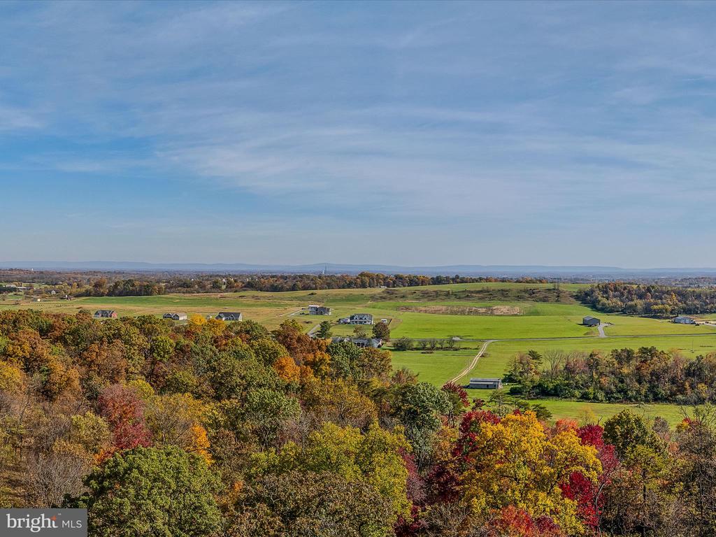 COPPERHEAD LANE