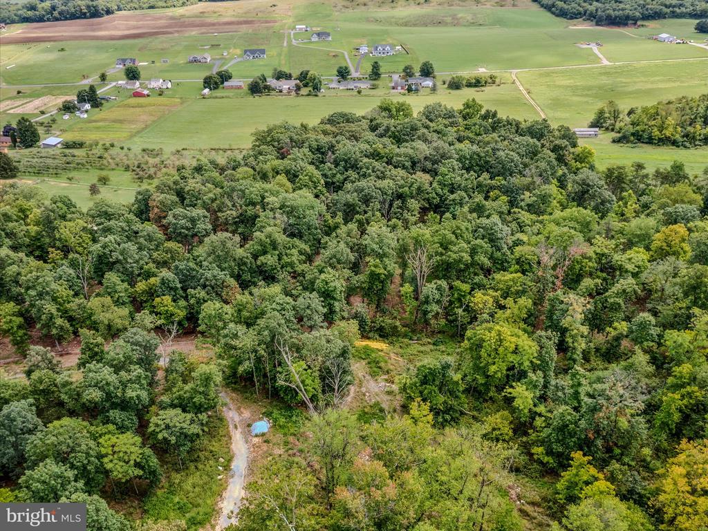 COPPERHEAD LANE