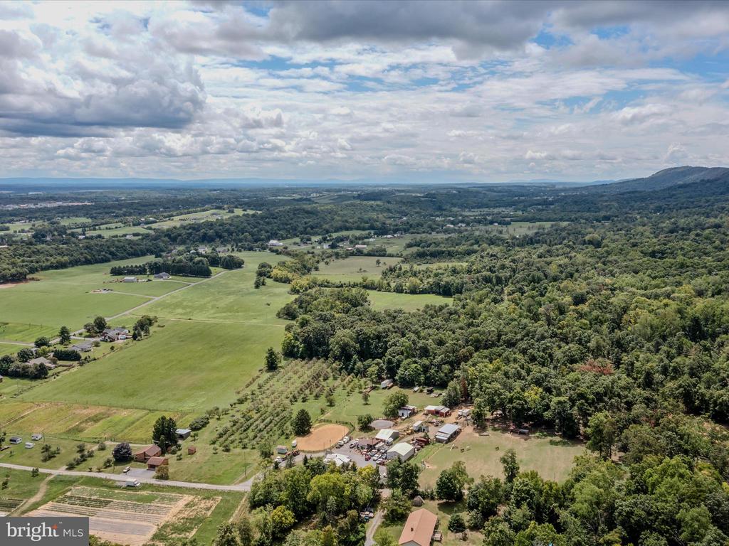 COPPERHEAD LANE