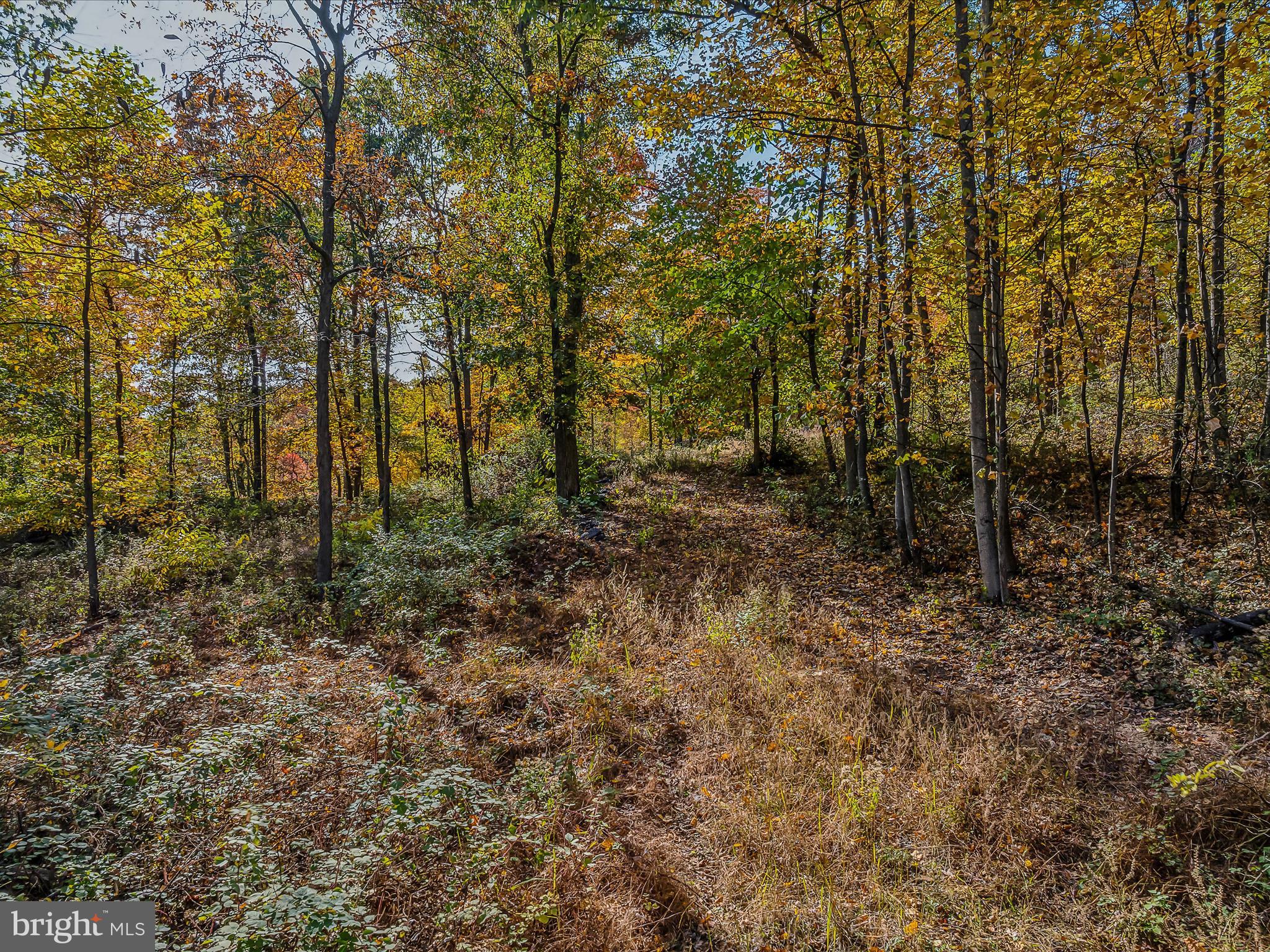 COPPERHEAD LANE