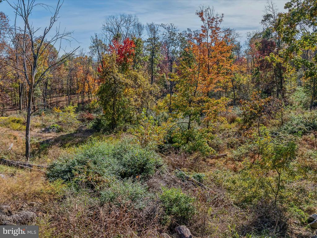 COPPERHEAD LANE