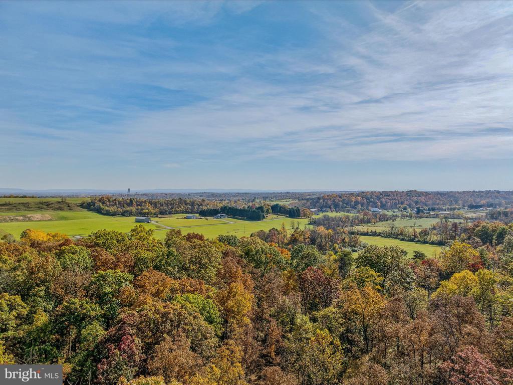 COPPERHEAD LANE