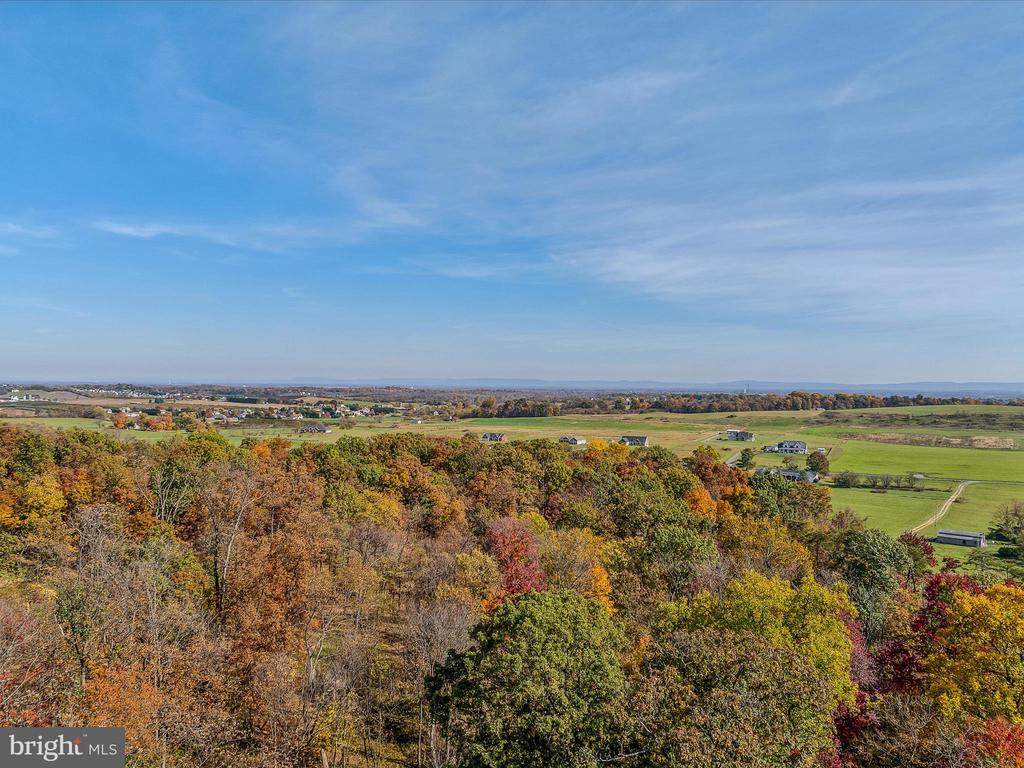 COPPERHEAD LANE