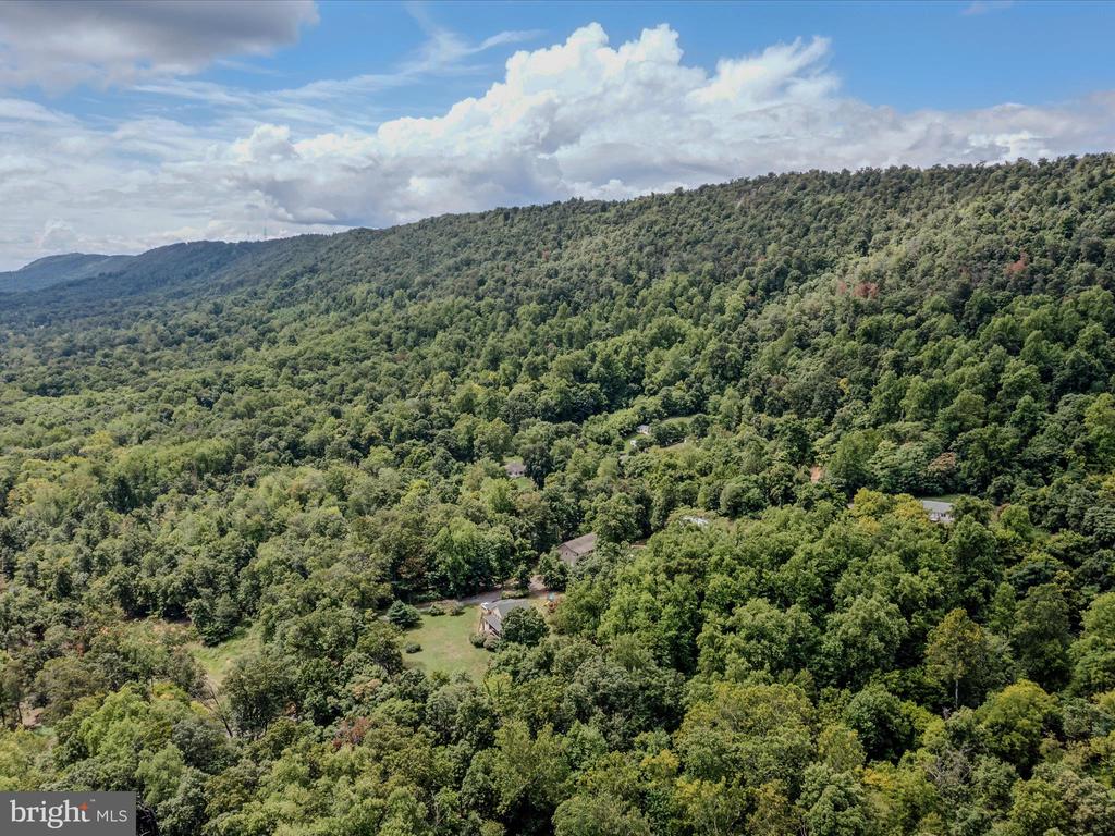 COPPERHEAD LANE
