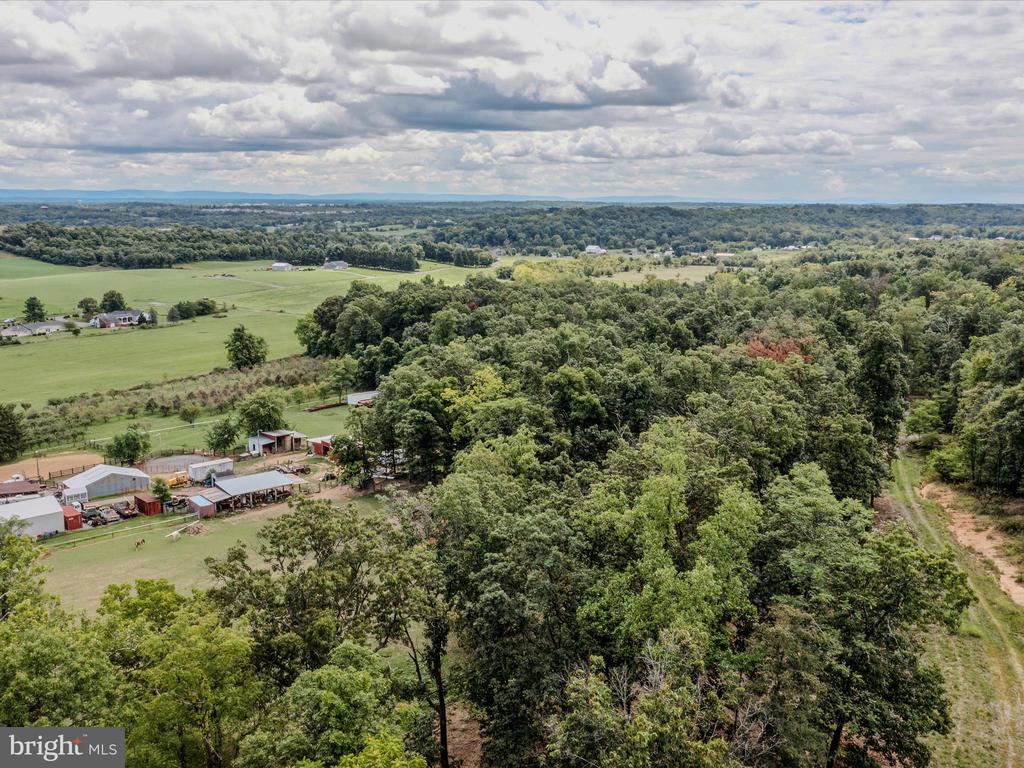 COPPERHEAD LANE