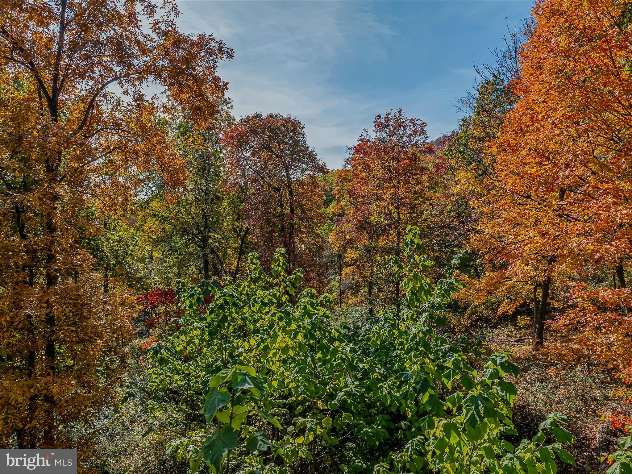 COPPERHEAD LANE