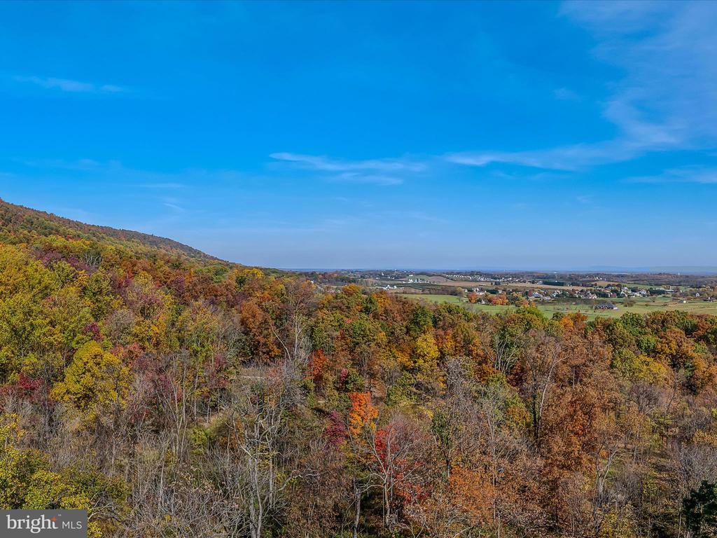 COPPERHEAD LANE