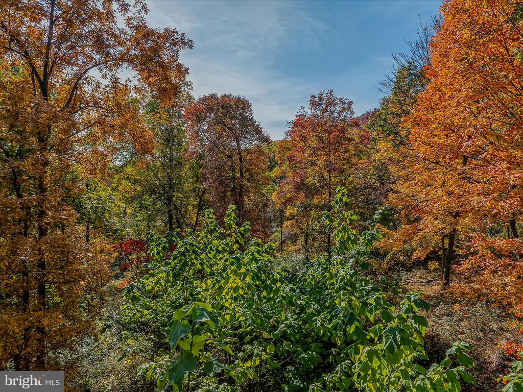COPPERHEAD LANE