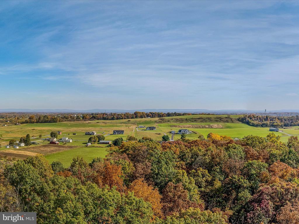 COPPERHEAD LANE