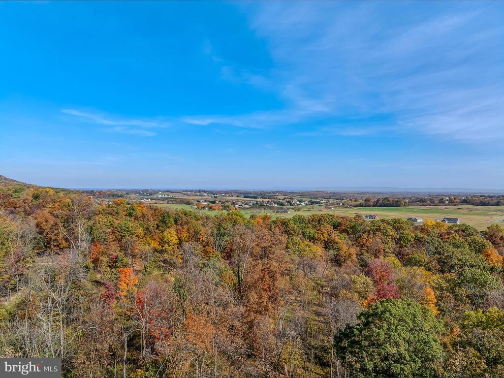 COPPERHEAD LANE