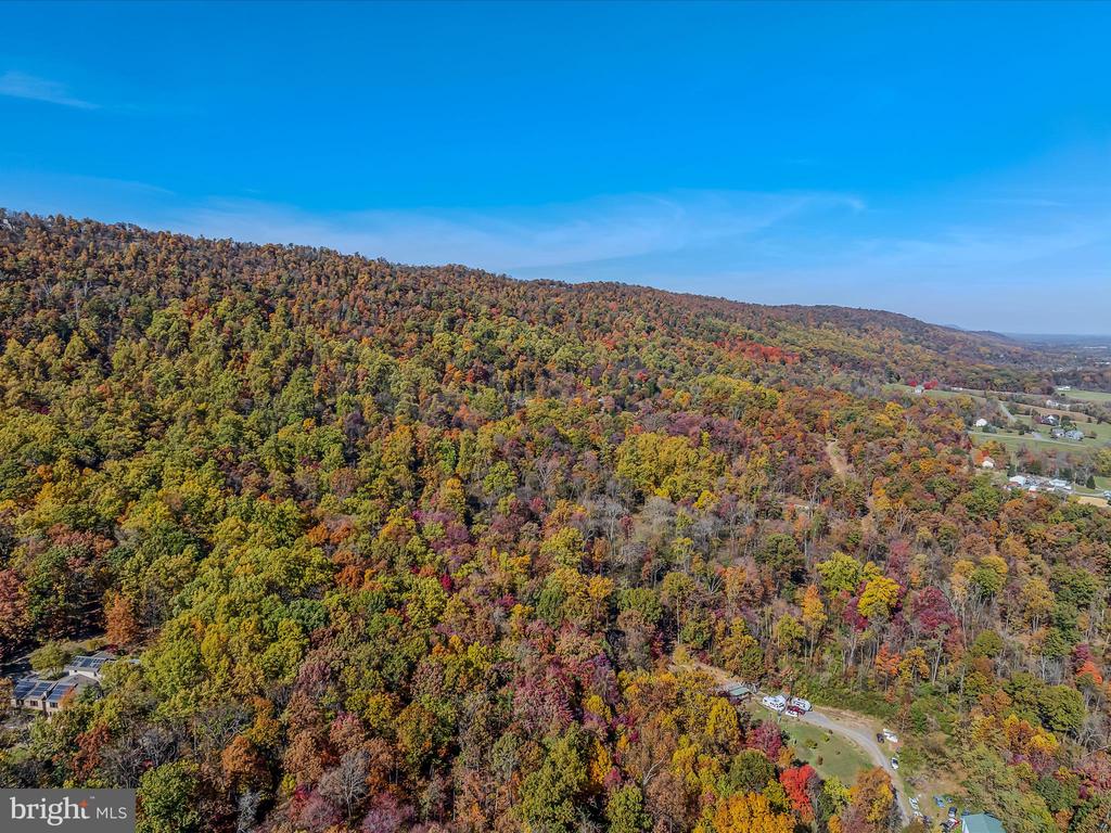 COPPERHEAD LANE