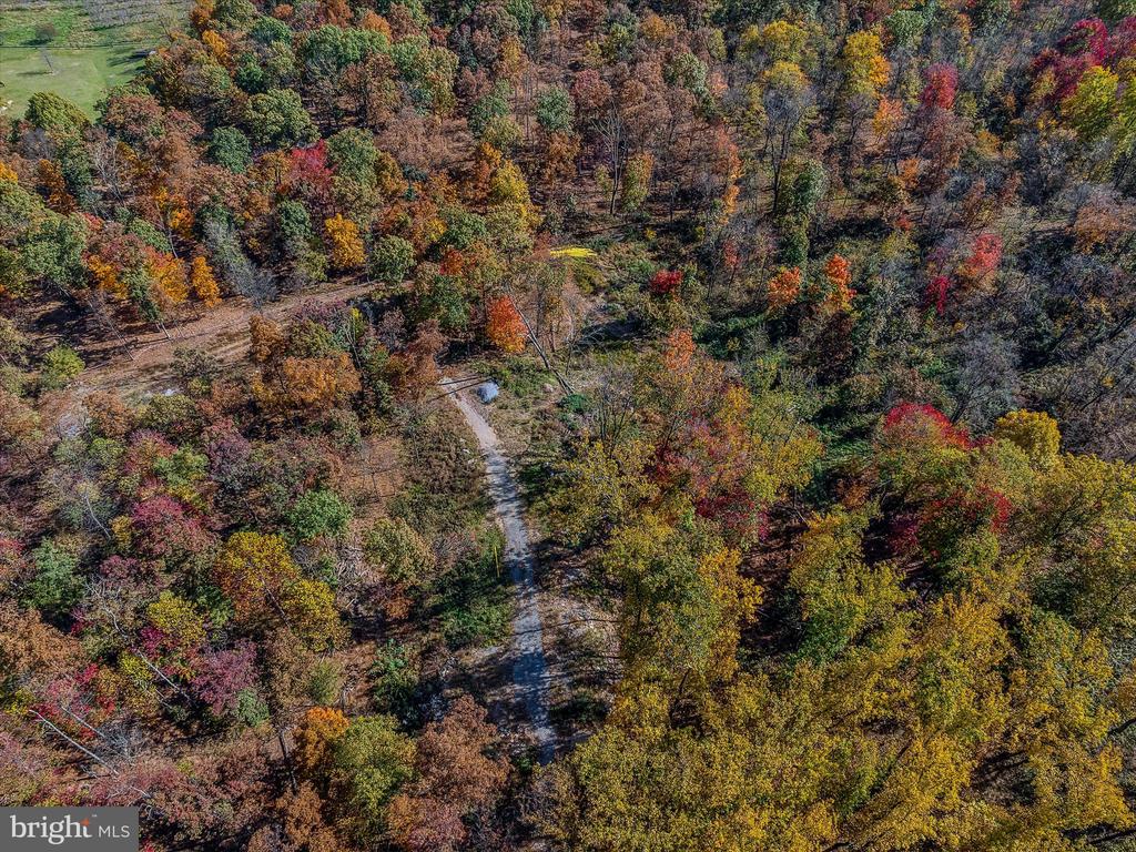 COPPERHEAD LANE