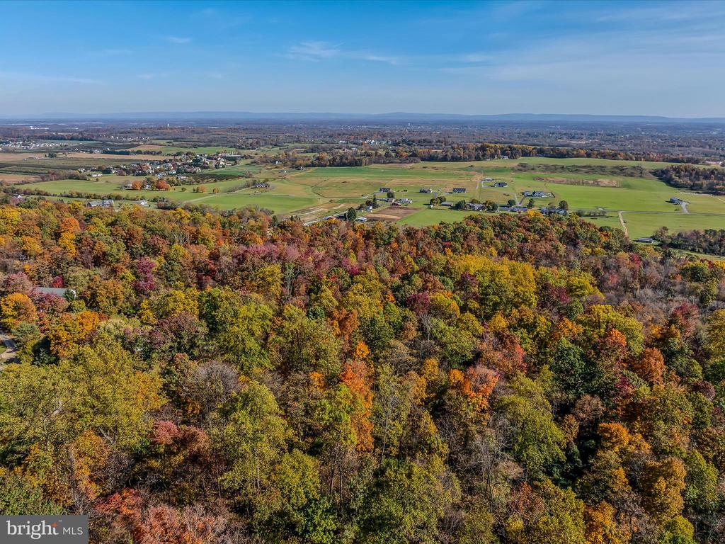 COPPERHEAD LANE