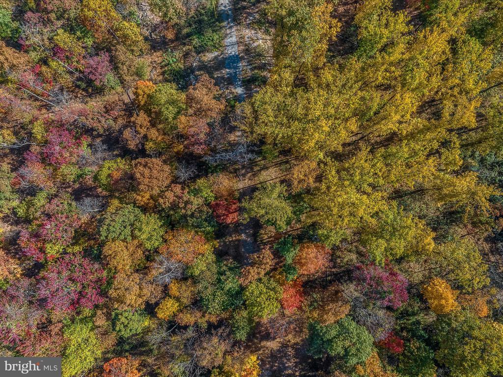 COPPERHEAD LANE