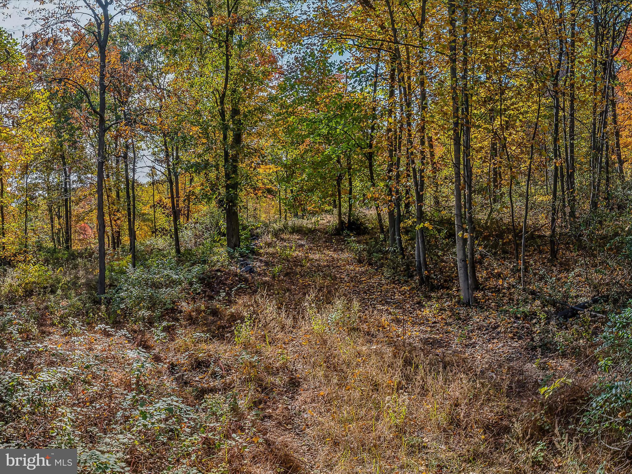 COPPERHEAD LANE