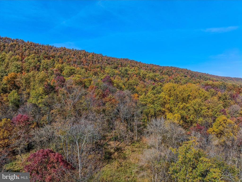COPPERHEAD LANE