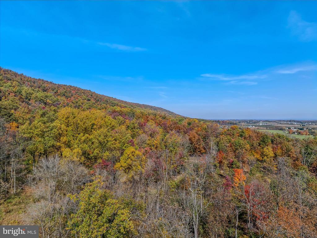 COPPERHEAD LANE