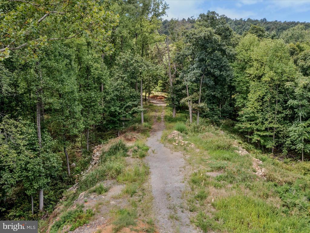 COPPERHEAD LANE