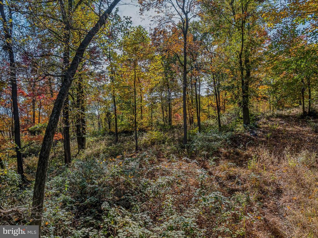 COPPERHEAD LANE