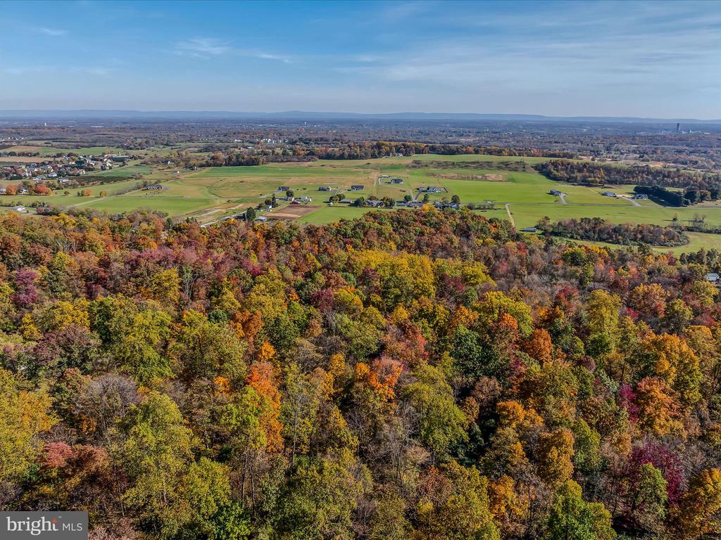 COPPERHEAD LANE