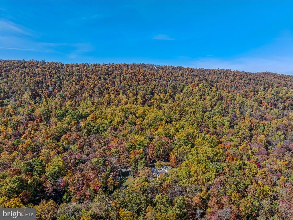 COPPERHEAD LANE
