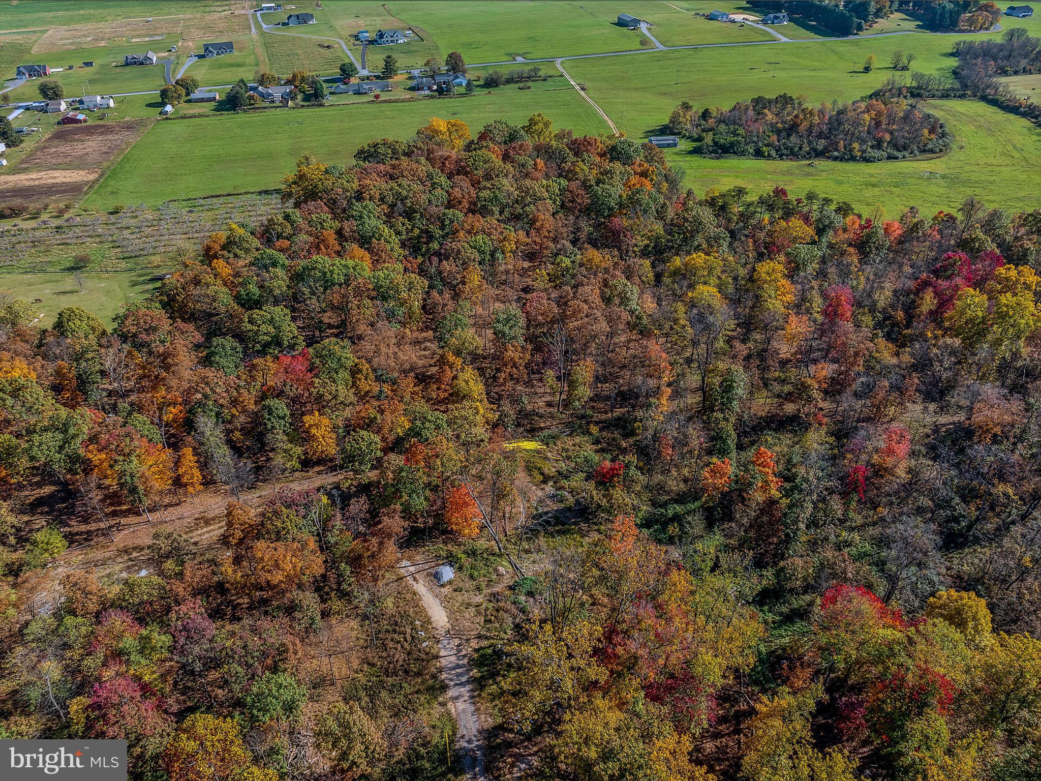 COPPERHEAD LANE