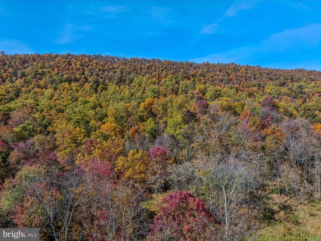 COPPERHEAD LANE