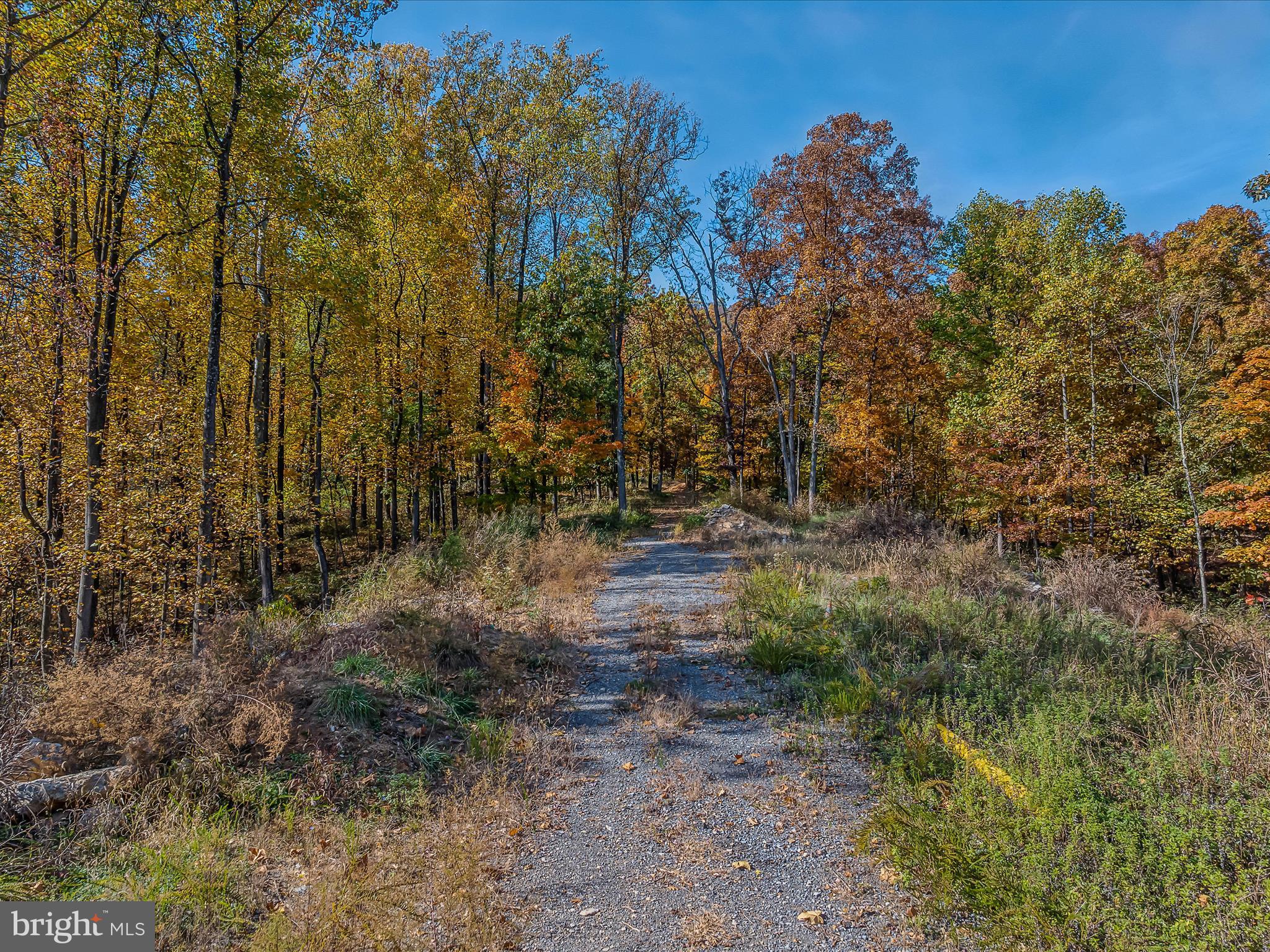 COPPERHEAD LANE