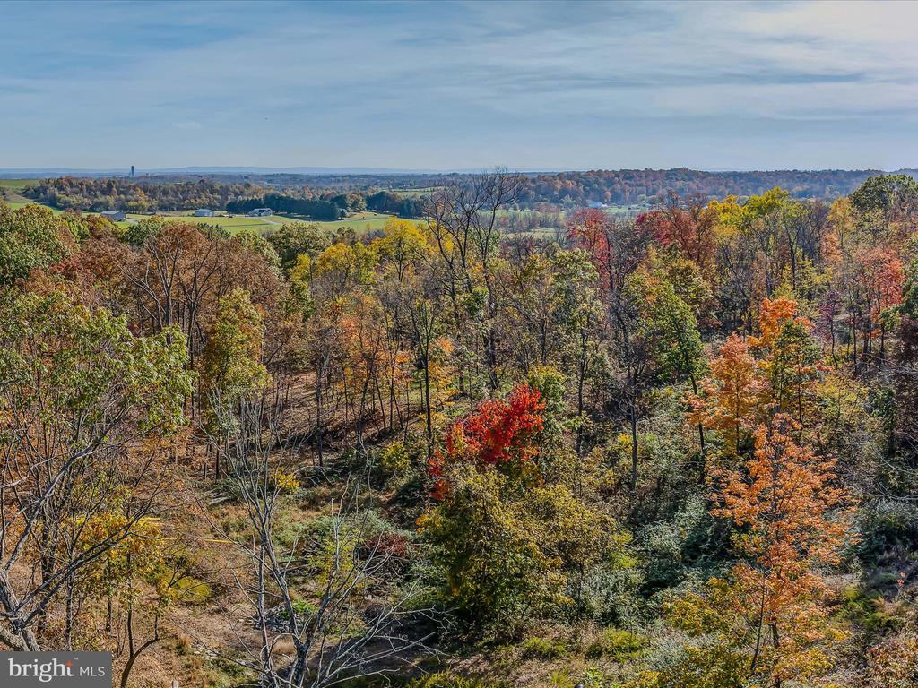 COPPERHEAD LANE