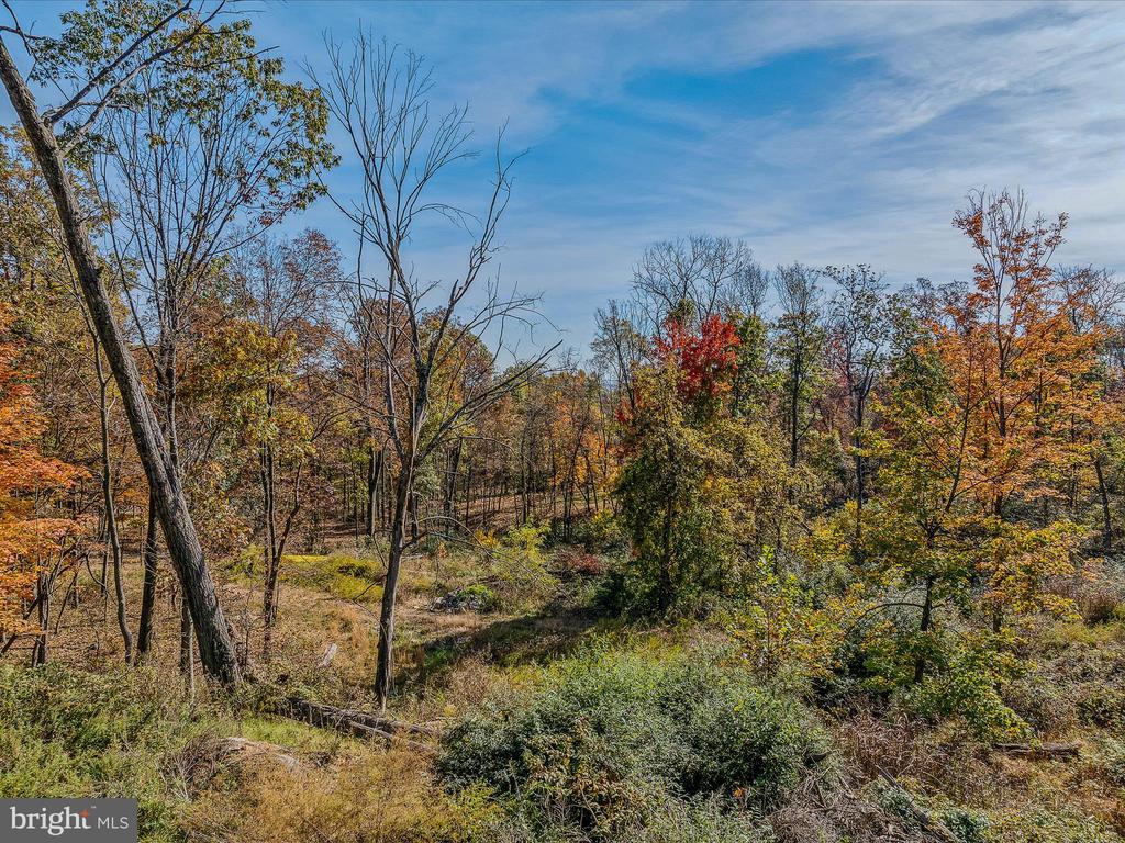 COPPERHEAD LANE