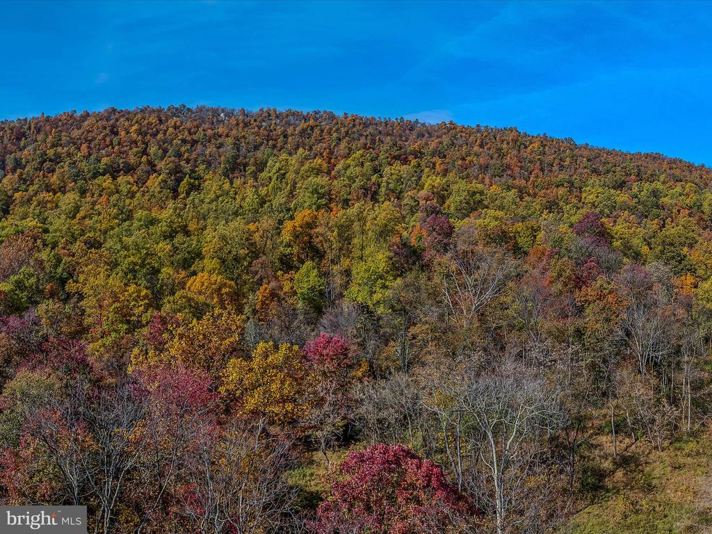 COPPERHEAD LANE