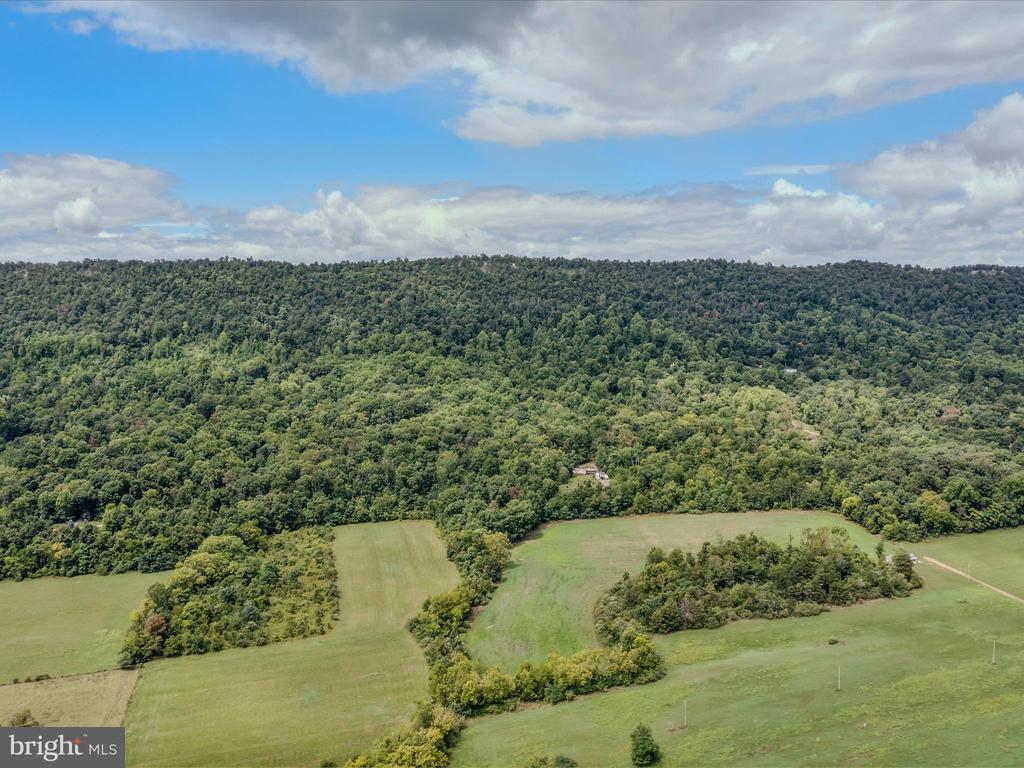 COPPERHEAD LANE