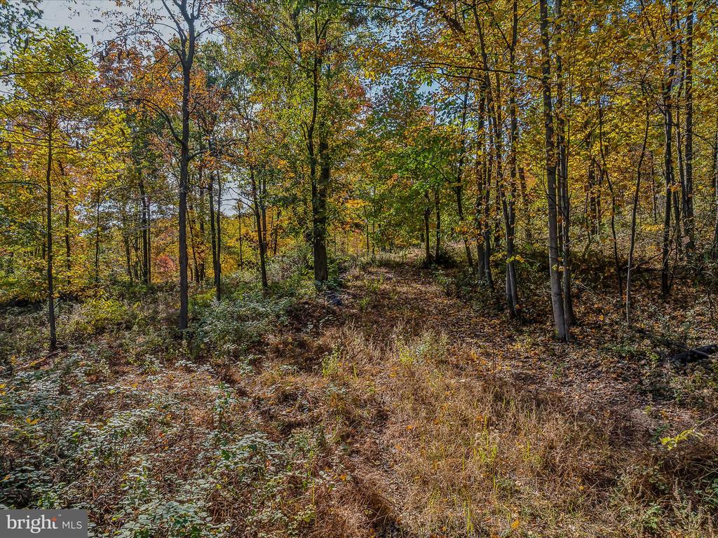 COPPERHEAD LANE