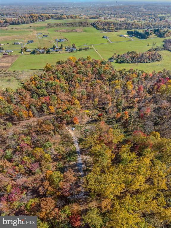 COPPERHEAD LANE