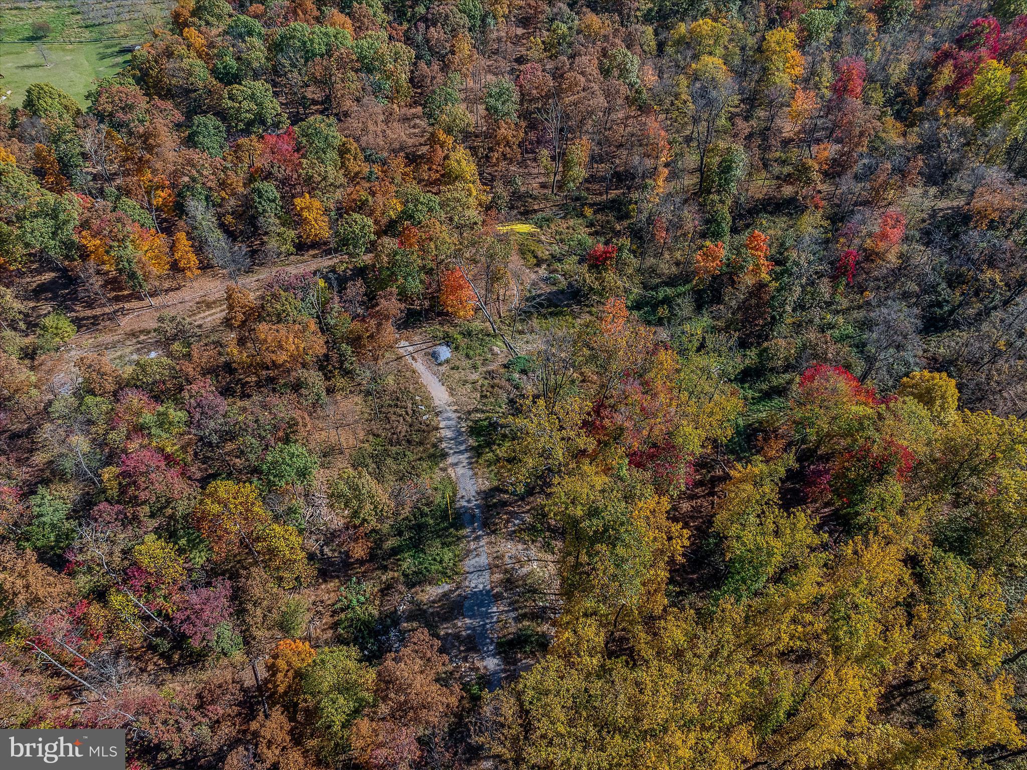 COPPERHEAD LANE