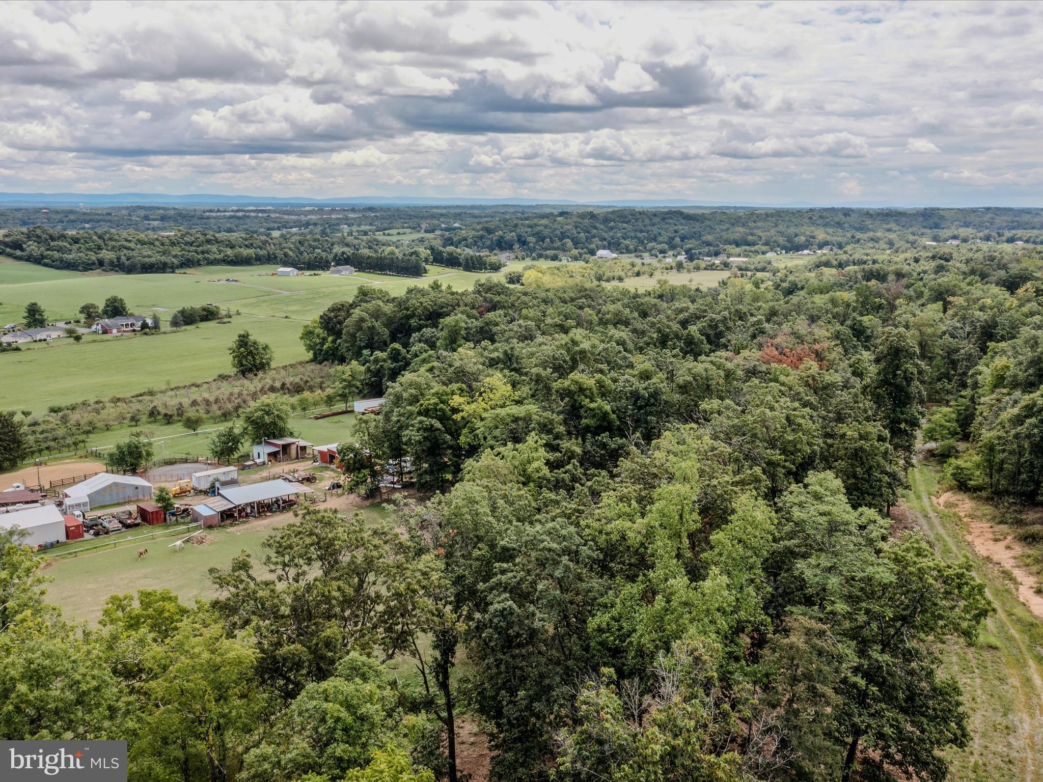 COPPERHEAD LANE