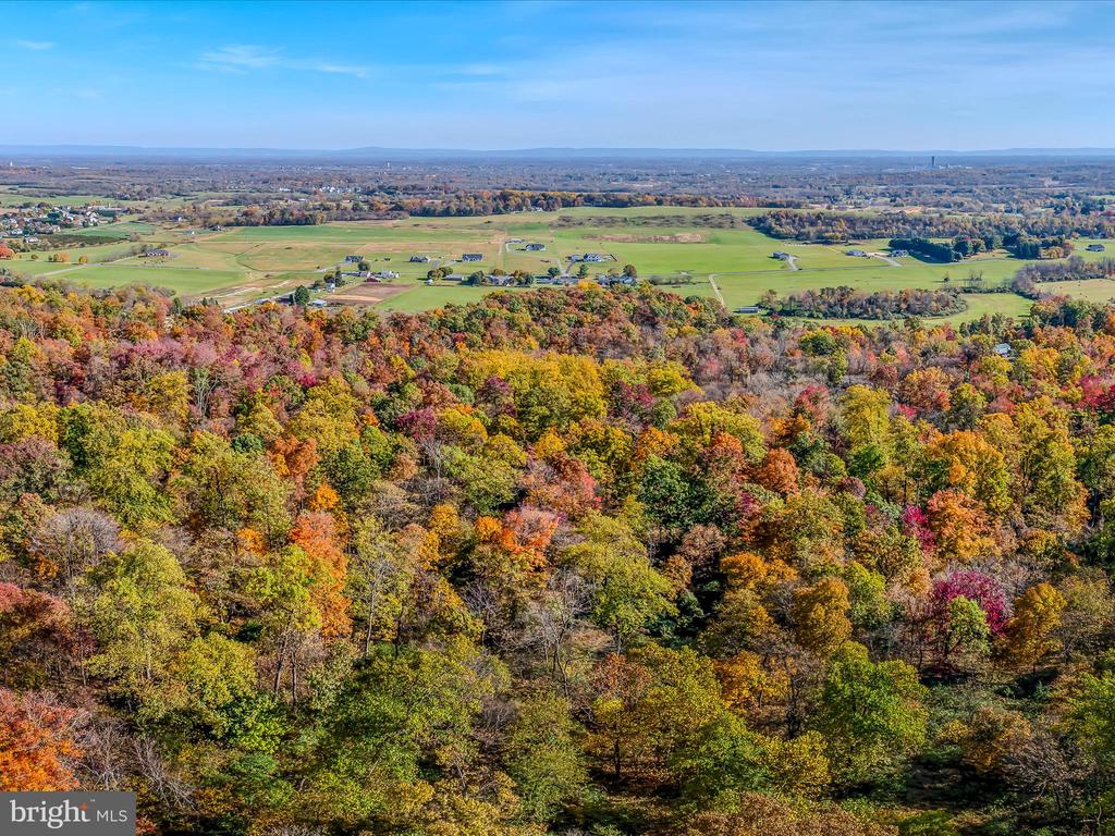 COPPERHEAD LANE